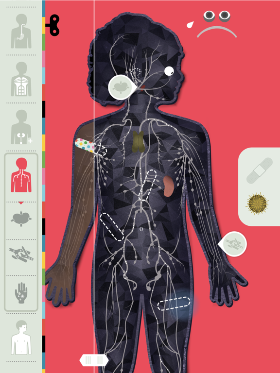 The Human Body by Tinybop iPad screenshot 9 - Education app
