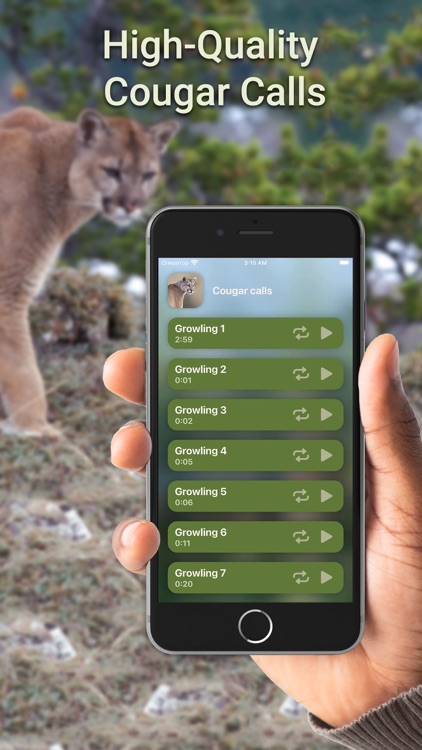 Hunting Calls: Cougar