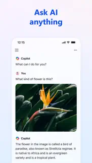 microsoft copilot iphone screenshot 2