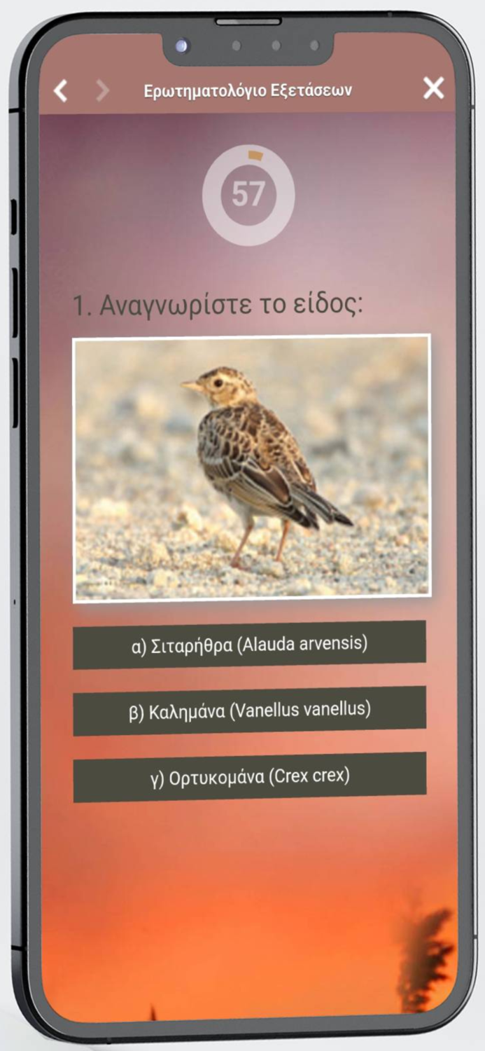 Ερωτηματολόγιο κυνηγών