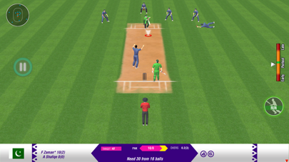 Play Real World Cricket Games Screenshot