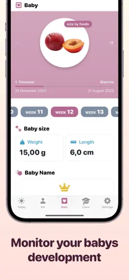 Game screenshot Pregnancy Tracker Countdown hack