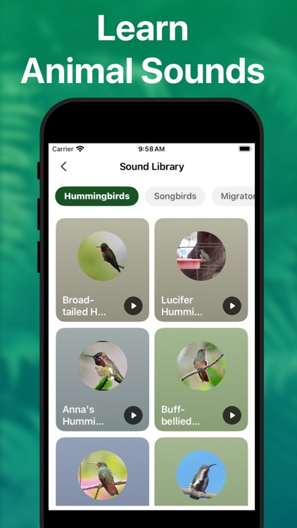 Picture Nature: Animal ID screenshot-4