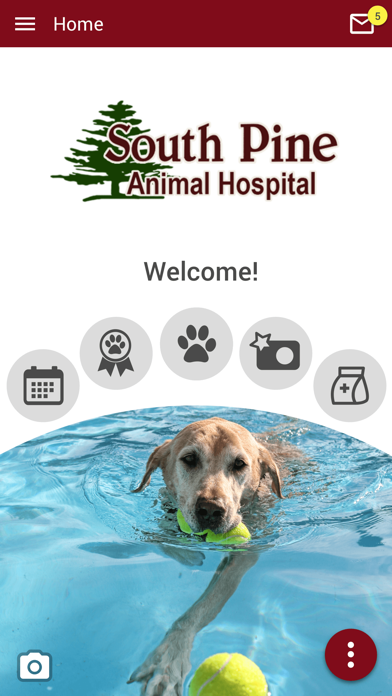 South Pine Animal Hospital Screenshot