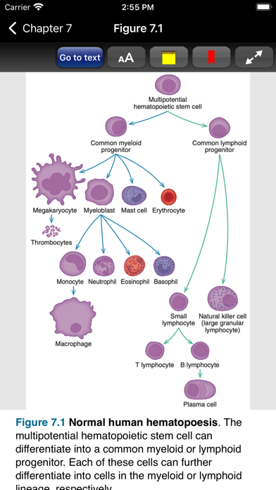 Huppert's Notes Internal Med. Screenshot