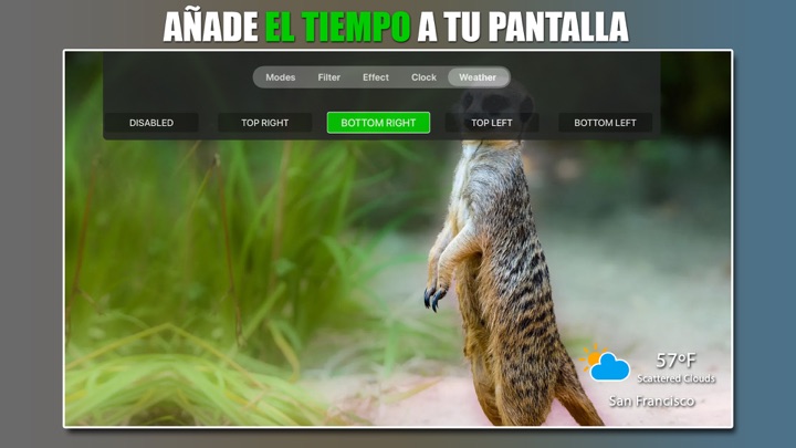 Captura de pantalla de la aplicación