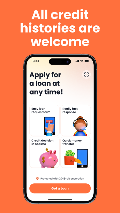 Instant Money Loan - from $100 Screenshot