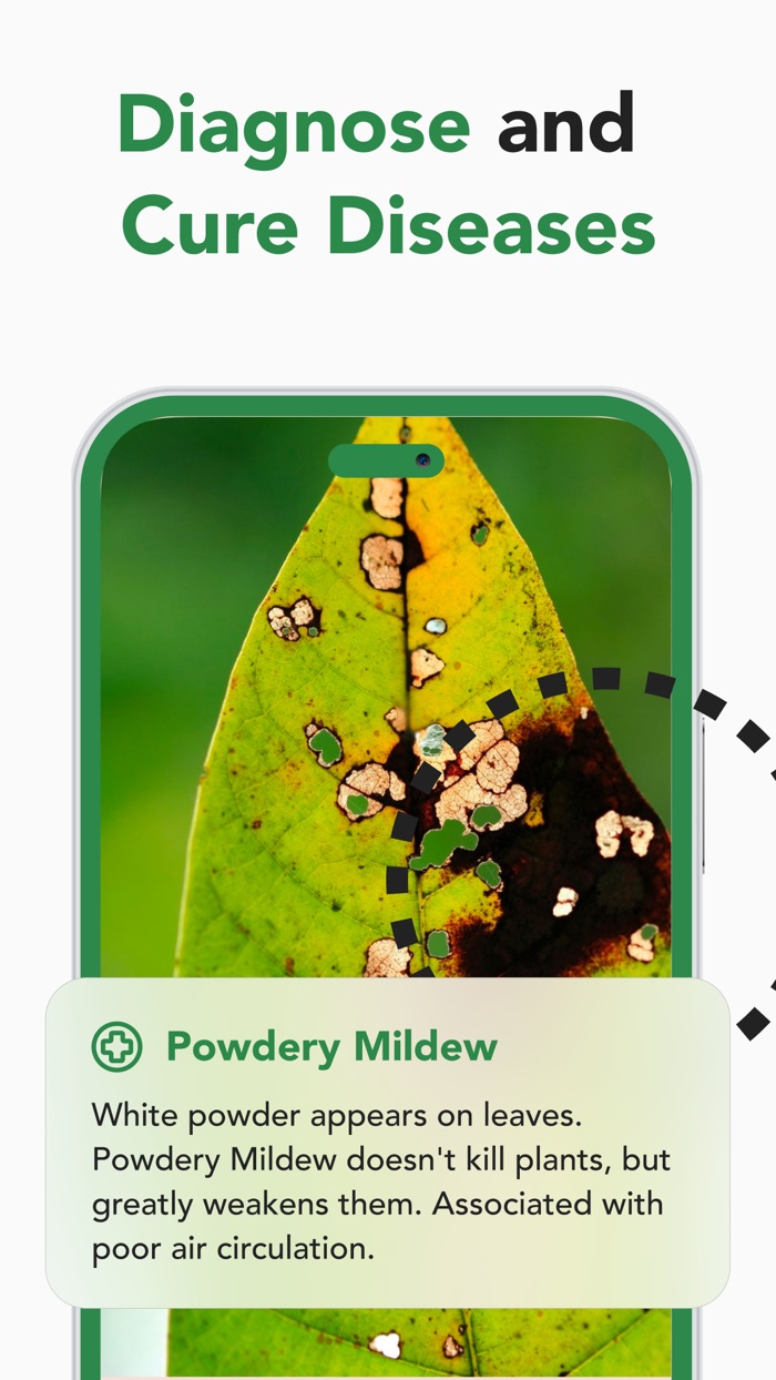 Plant Identifier, Health, Care