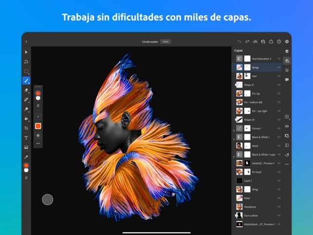 Adobe Photoshop en App Store