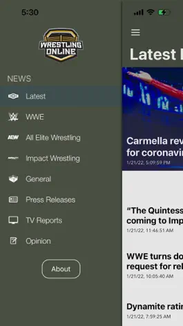 Game screenshot Wrestling-Online.com apk