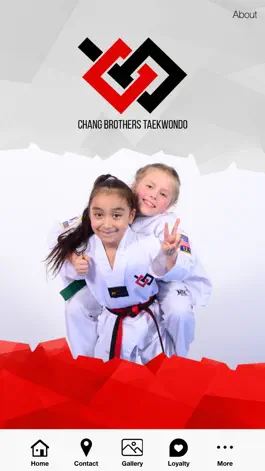 Game screenshot Chang Brothers Taekwondo mod apk