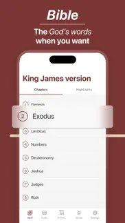 bible · iphone screenshot 1