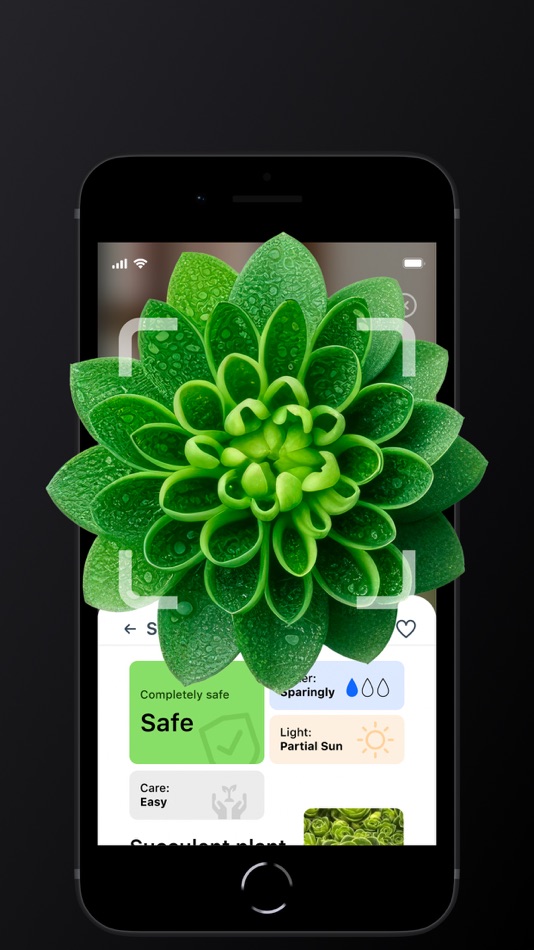 #3. All Identifier - AI Picture ID (iOS) 由: Vadim Rudakov