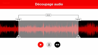 Screenshot #3 pour Voice Recorder Lite: Record HD