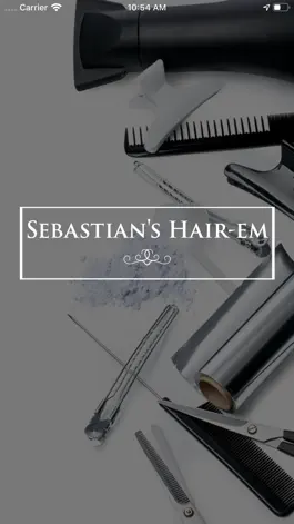 Game screenshot Sebastian's Hair-em mod apk