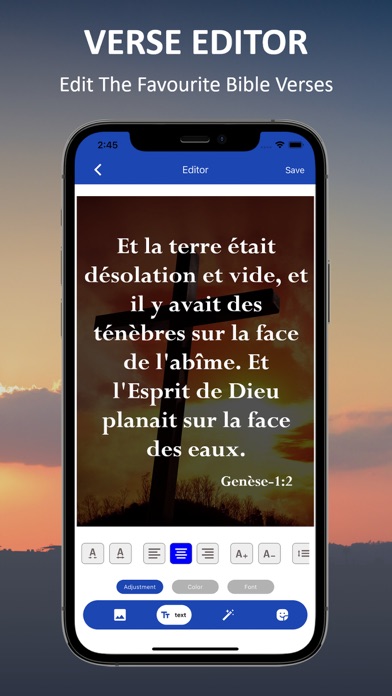 La Bible Du Semeur BDS Screenshot