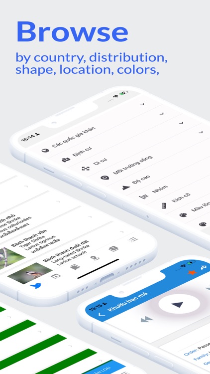 Vietnam Birds (plus)