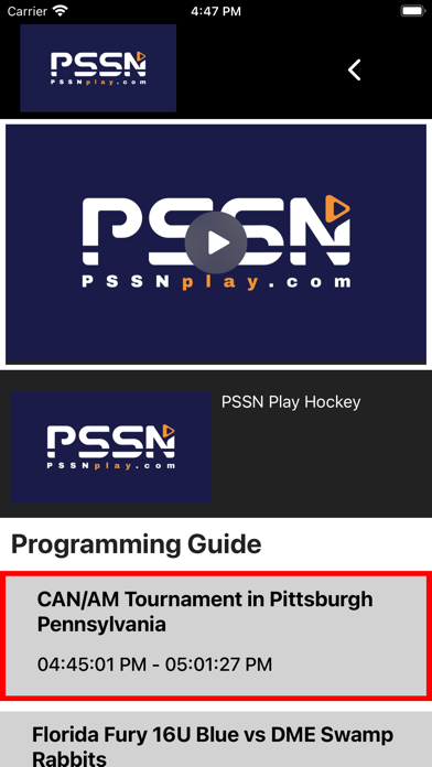 PSSN play Hockey Screenshot