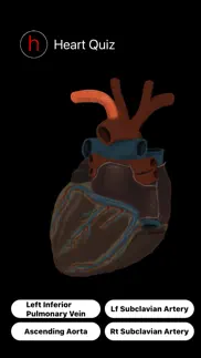 human heart anatomy quiz iphone screenshot 2