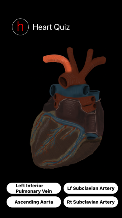 Human Heart Anatomy Quizのおすすめ画像2