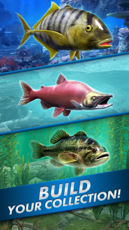 Ultimate Fishing! Fish Game screenshot-4