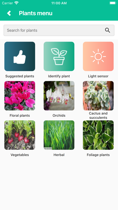 Blume Screenshot