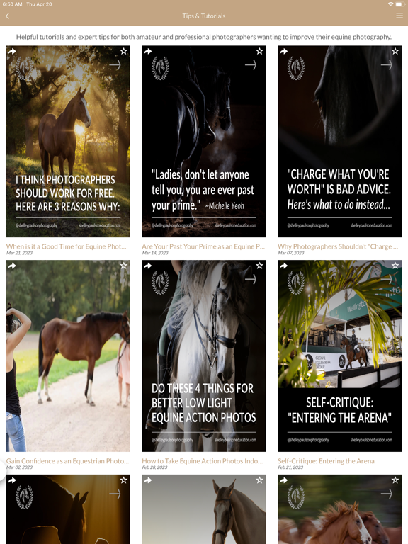 EquiCapture iPad screenshot 4 - Photo & Video app