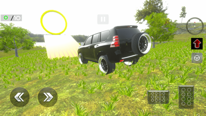 Crazy 4x4 Prado Offroad 2024 Screenshot
