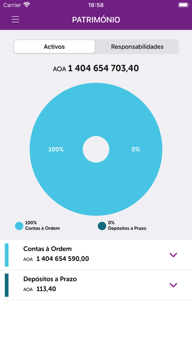 EconomicoNet App Screenshot