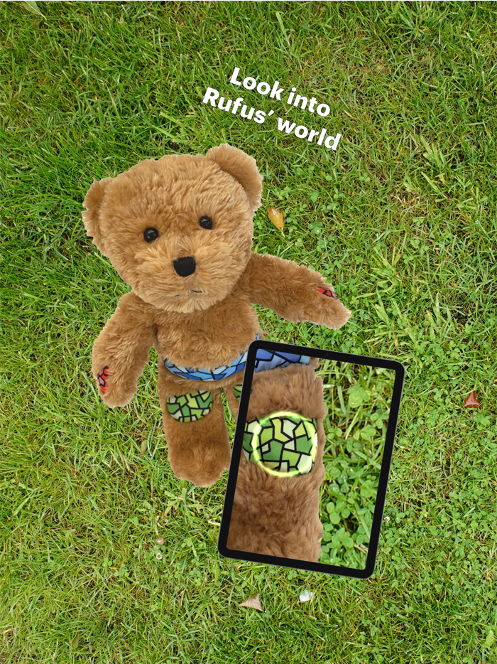 Rufus the Bear with Diabetes