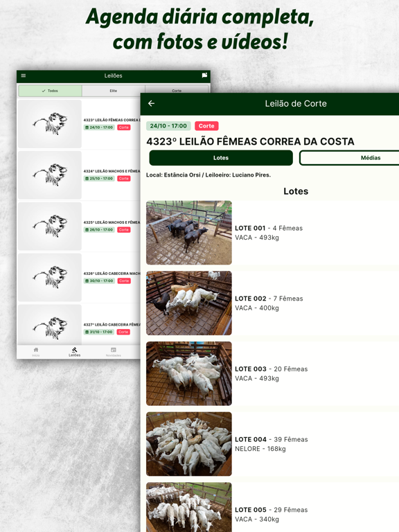 Screenshot #6 pour Correa da Costa