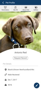 Goldens Bridge Veterinary screenshot #3 for iPhone