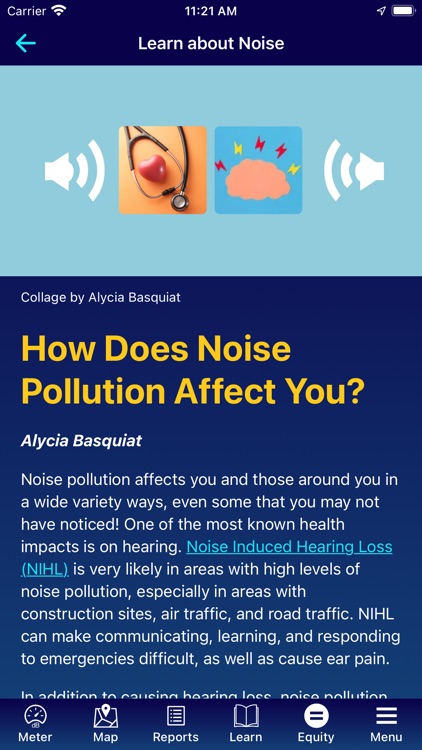 NOISE Project screenshot-3