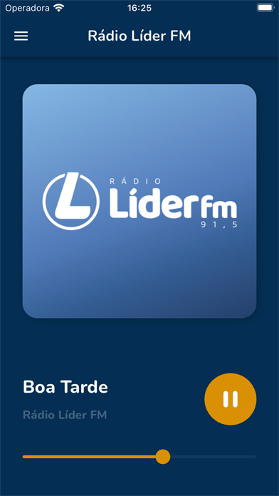 Rádio Líder FM 91.5 Screenshot