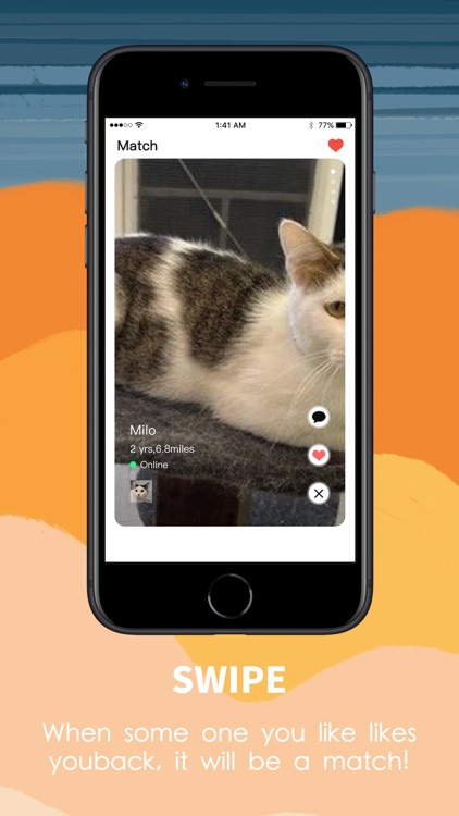 KittyKare-Naughty Video Chat screenshot-4