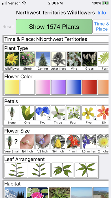 NT Wildflowers Screenshot