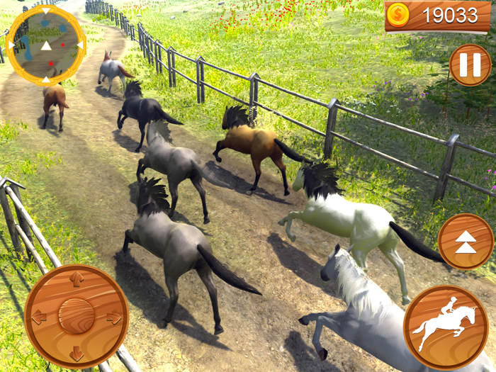 Wild Horse Equestrian Family