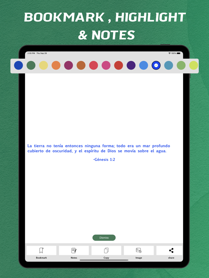 Dios Habla Hoy - offline