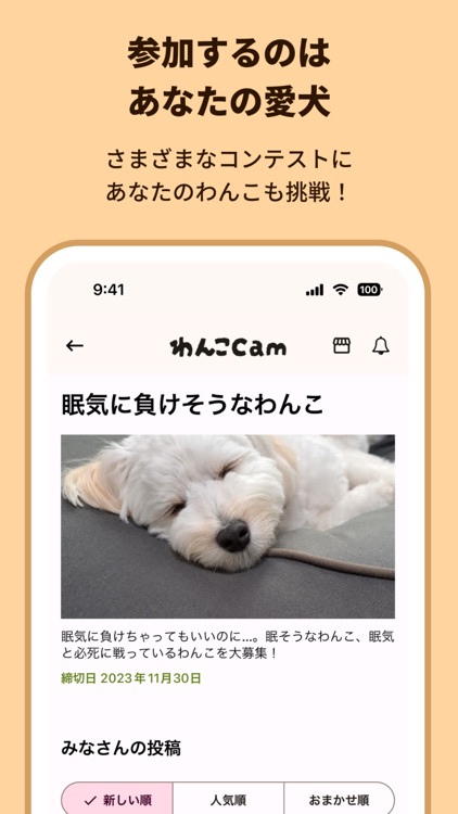 わんこCam