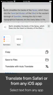 auto translate for safari iphone screenshot 3