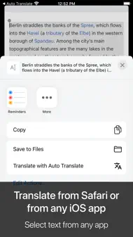 Auto Translate For Safari iphone resimleri 3