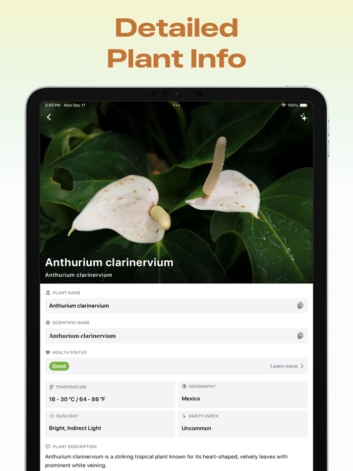 Flower Identifier and Finder