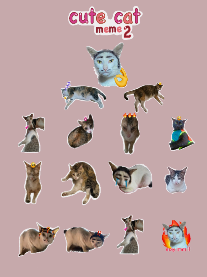 Cute Cat Meme 2