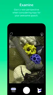 dog optics iphone images 1