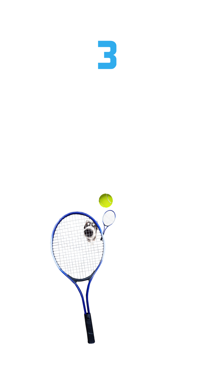 tennis cat - Rhythm games