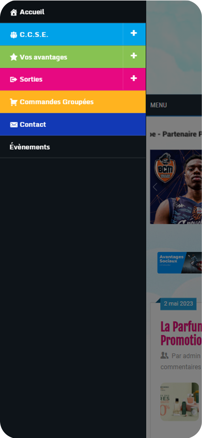 CCSE Papillons Blancs DK