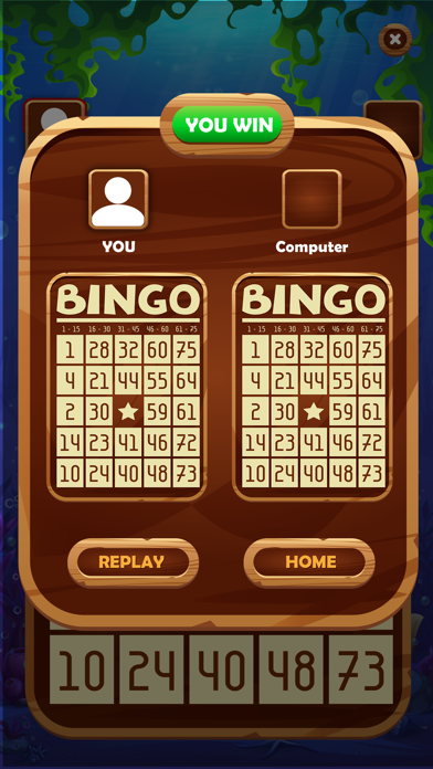 Bingo - Numeric Board Game Screenshot