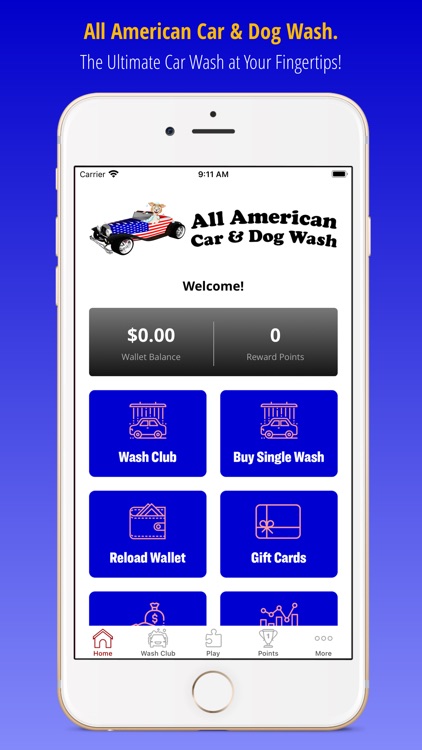 All American Car & Dog Wash