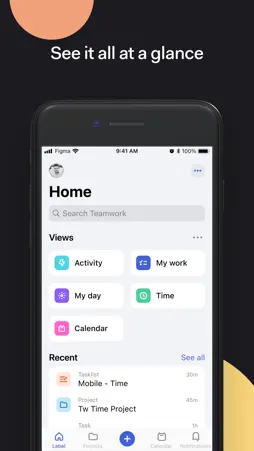 Teamwork.com screenshot 3