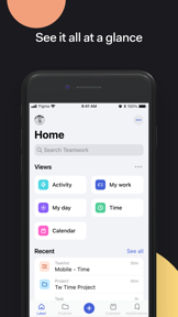 Teamwork.com screenshot